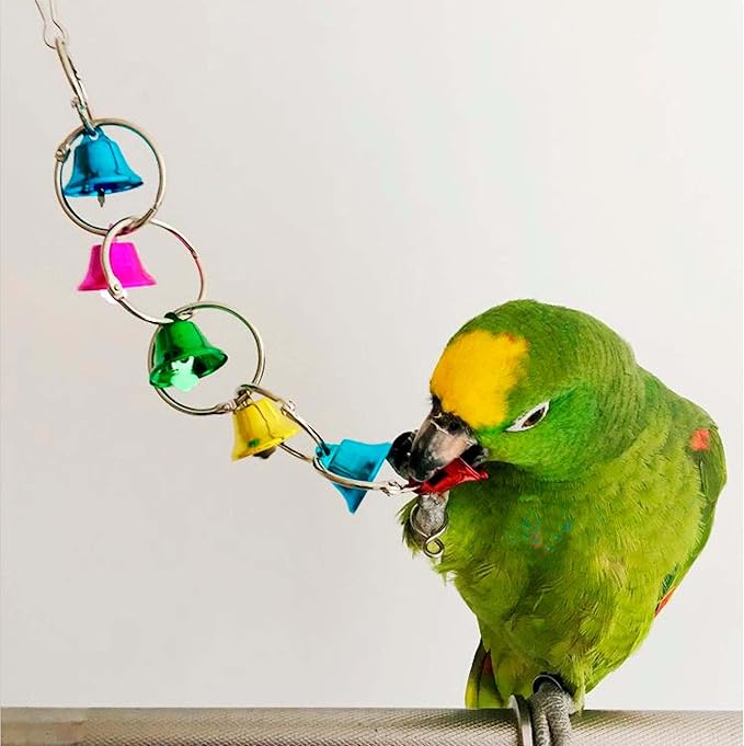 3 Pack Bird Bells Toy Chewing Hanging Ring Toy Cage Bite for Pet Budgie Parakeet Cockatiel Conure Macaw African Grey Eclectus Cockatoo Finches Lovebird Quaker Parrot Finch Canary