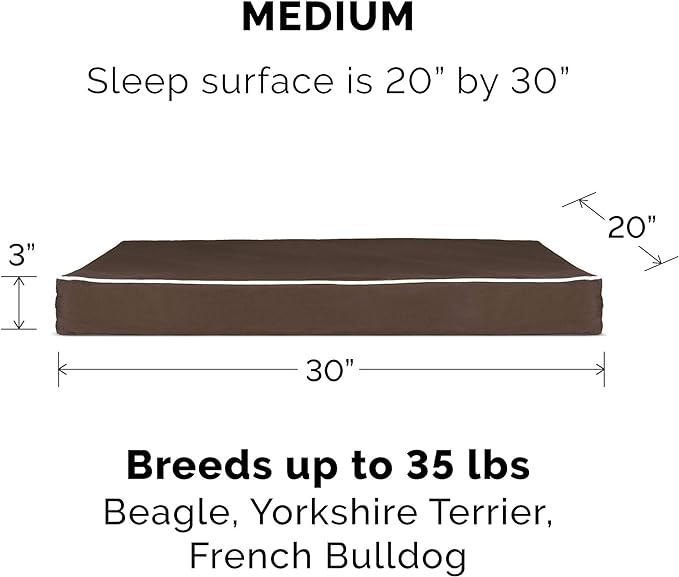 Furhaven Water-Resistant Memory Foam Dog Bed for Medium/Small Dogs w/ Removable Washable Cover, For Dogs Up to 35 lbs - Indoor/Outdoor Solid Polycanvas Mattress - Espresso, Medium