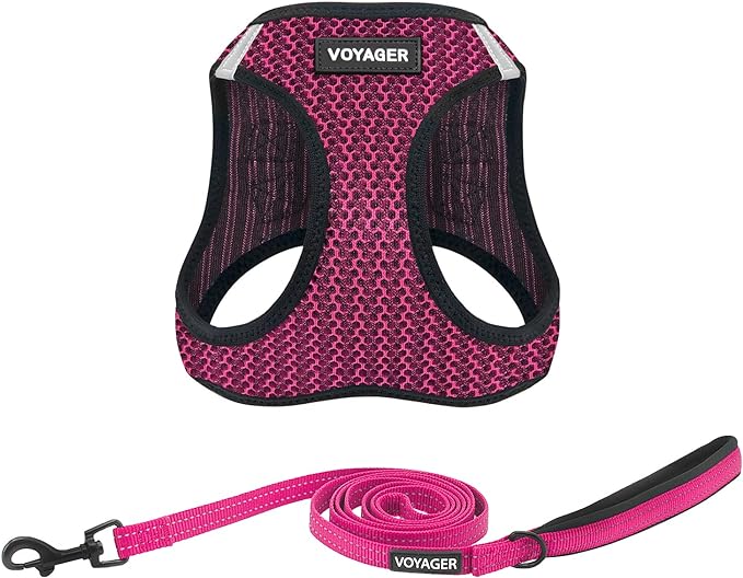 Voyager Step-in Air All Weather Mesh Harness and Reflective Dog 5 ft Leash Combo with Neoprene Handle, for Small, Medium and Large Breed Puppies by Best Pet Supplies - Fuchsia (2-Tone), XL