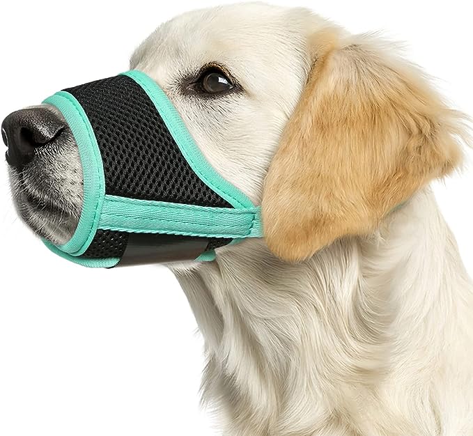 HEELE Dog Muzzle, Soft Mesh Breathable Muzzle with Adjustable Straps for Small Medium Large Dogs, Prevent Biting, Licking and Chewing, Allow Drinking Panting Green Medium