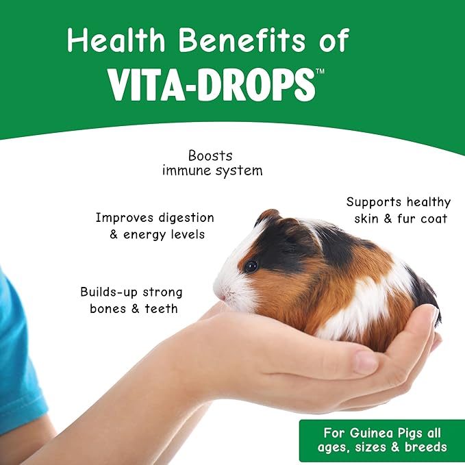 OASIS # 80061 Guinea Pig Vita Drop, 2-Ounce