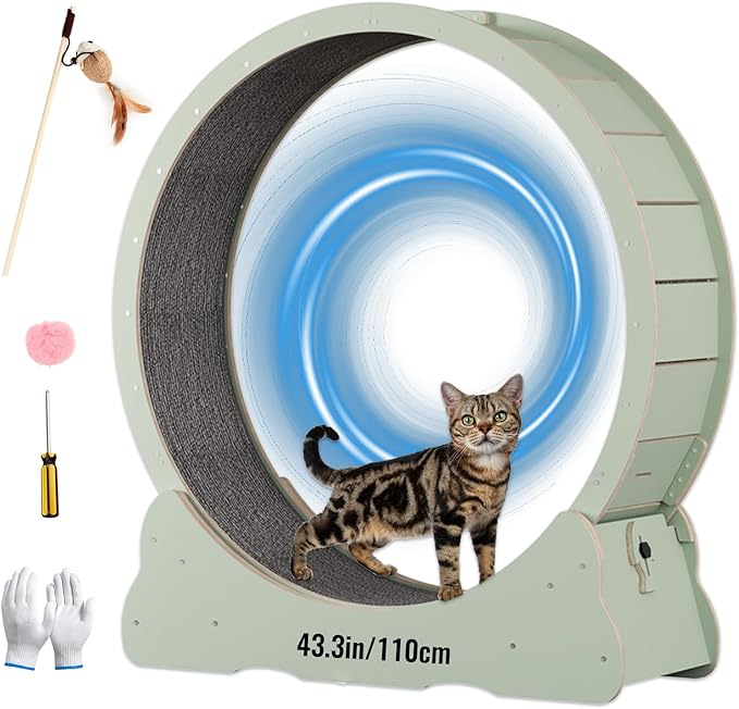 Cat Wheels for Indoor Cats. Extra Large Diameter Cat Treadmill. Made of Natural Solid Wood. Inside Diameter 40in/100cm. Including Installation Tools and Cat Teaser. (Green)