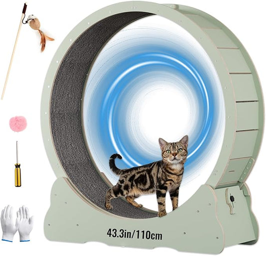 Cat Wheels for Indoor Cats. Extra Large Diameter Cat Treadmill. Made of Natural Solid Wood. Inside Diameter 40in/100cm. Including Installation Tools and Cat Teaser. (Green)