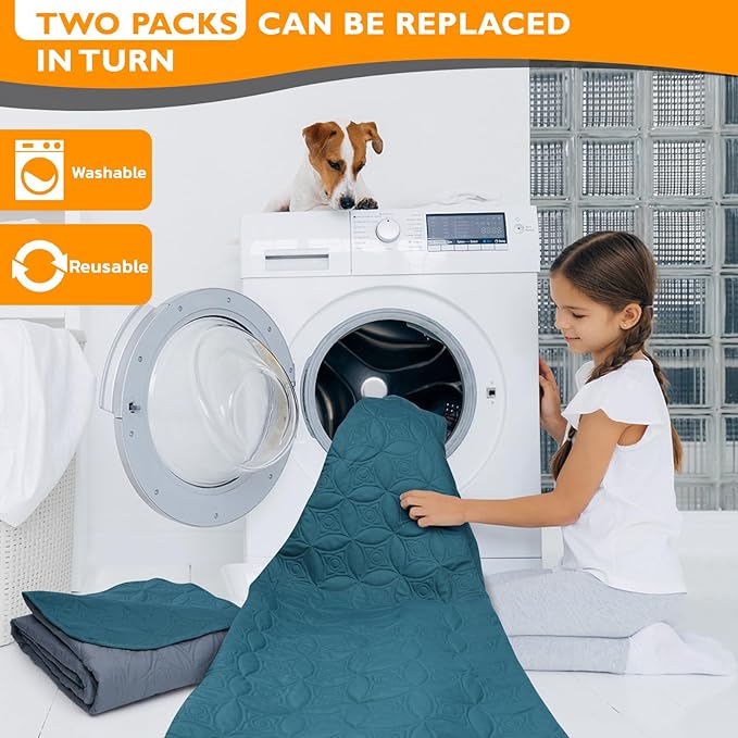 2 Packs Waterproof Dog Blankets Washable for Large Dog, Pet Couch Covers Protect Bed Sofa Furniture, Soft Reversible Dog Blankets Anti Scratches Dirty for Puppy Kids (82"×82", Teal/Grey Blue)