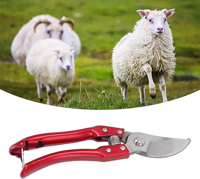 Sheep Hoof Shears Goat Hoof Trimmers Pig Trotter Shears Pliers Animal Toe Nails Trimming Repairing Tool (Red)