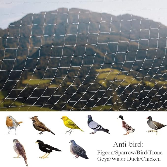 JUMXSRLE Cat Netting Balcony, UV & Weather-Resistant Cat Balcony Safety Net, Transparent Nylon Pet Mesh Fence Cat Netting for Patio, Balcony, Rail, Stairs, Terraces - 10x13ft