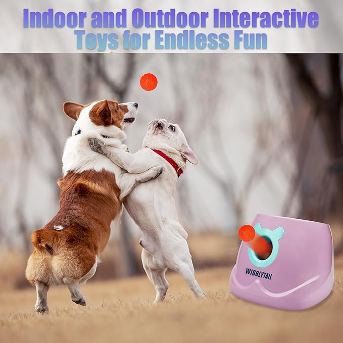 Automatic Ball Launcher for Dogs, Remote Dog Fetch Ball Thrower Launcher, Dog Toys Launcher Ball Thrower with 10 Balls for Small Dogs and Puppies, Interactive Dog Self Playing