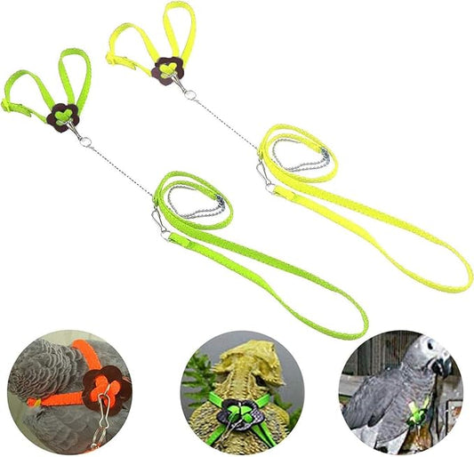Bonaweite 2 Pack Adjustable Harness Leash, Pet Birds Nylon Anti-bite Training Hraness Outside Walk for Parrot African Grey Cockatoo Macaw Ringneck Parakeet Cockatiel Reptile Lizar