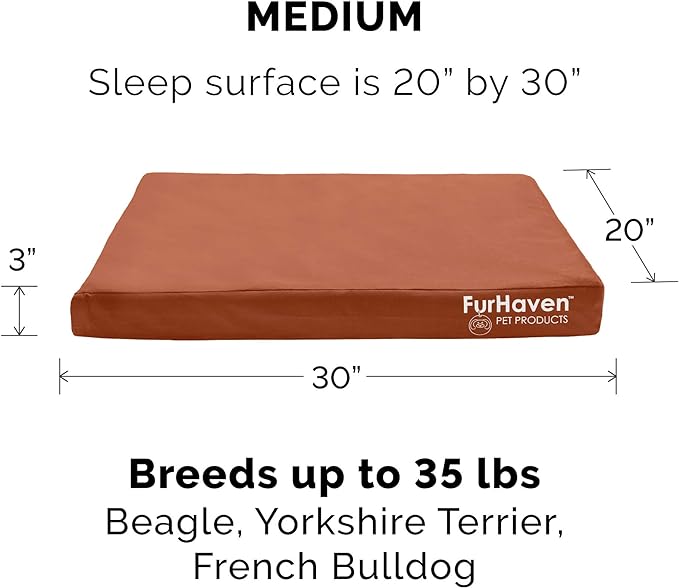 Furhaven Water-Resistant Memory Foam Dog Bed for Medium/Small Dogs w/ Removable Washable Cover, For Dogs Up to 35 lbs - Indoor/Outdoor Logo Print Oxford Polycanvas Mattress - Chestnut, Medium