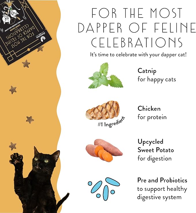 Shameless Pets Celebration Birthday Crunchy Cat Treats Chicken and Catnip Treats with DIgestive Support