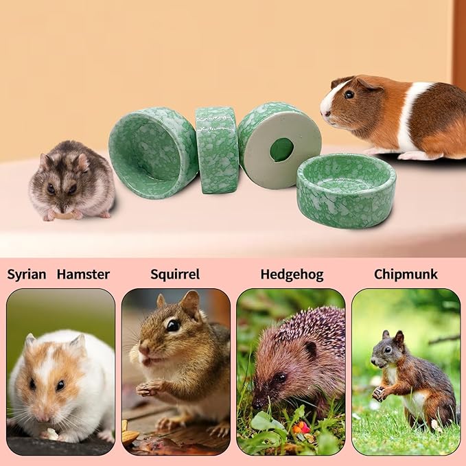 kathson 4 Pcs Hamster Food Bowl Guinea Pig Ceramic Water Bowl Small Animal Feeding Dish for Dwarf Hamster Gerbil Syrian Ferret Hedgehog Chinchilla Bunny (Green)