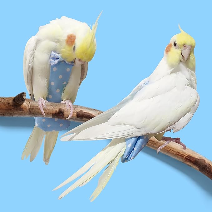 Bird Diaper Harness Flight Suit Clothes with 80 Inch Flying Leash Rope for Parrots Conure Cockatiel Pet Birds Weight 80-105 Grams, M Size Denim, Including A Cotton Pad