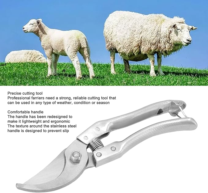 1PCS Goat Hoof Trimmers, Sheep Hoof Shears Goat Hoof Trimmers Pig Trotter Shears Pliers Animal Toe Nails Trimming Repairing Tool (Silver)