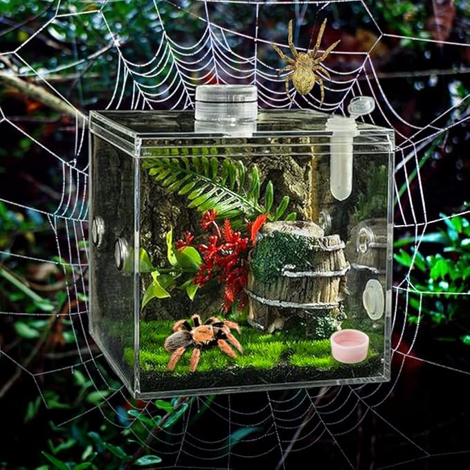 9 Pcs Tarantula Water Bowl Ceramic Mini Dish for Spider Tarantula Hermit Crab Terrarium Breeding Feeders (Pink)