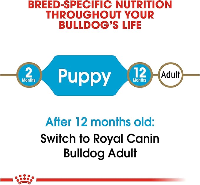 Royal Canin Bulldog Puppy Dry Dog Food, 6 lb bag