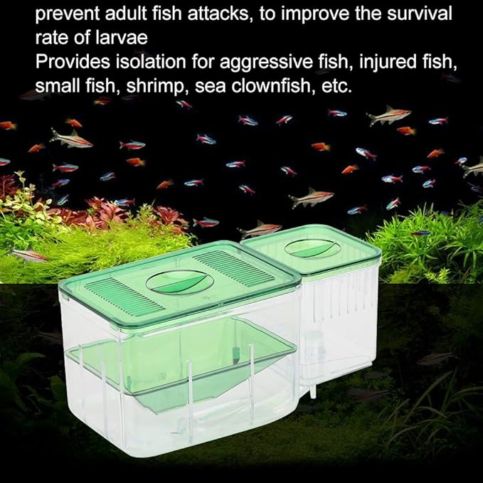 Fish Breeder Box Fish Hatchery Floating Fish Breeding Box with Removable Grating Fish Divider for Agressive Injured Pregnant Fishes