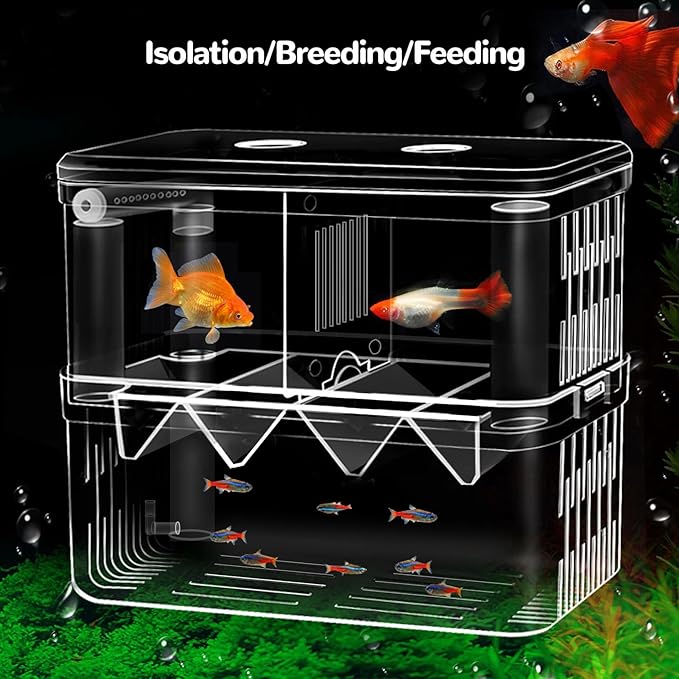 J-star Extra Large Fish Breeder Box, Acrylic Aquarium Breeder Box, Fish Isolation Box for Betta, Guppy, Killifish, Shrimp, Clownfish etc.