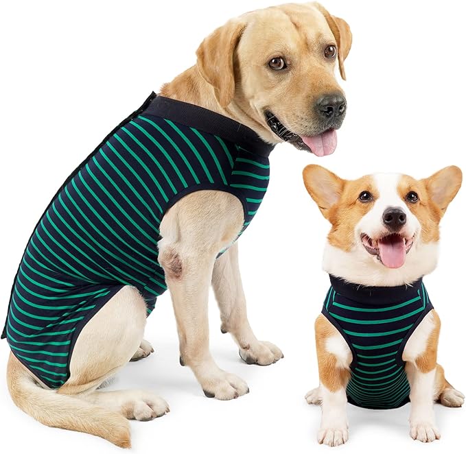 Dotoner Dog Recovery Suit Abdominal Wound Puppy Surgical Clothes Post-Operative Vest Pet After Surgery Wear Substitute E-Collar & Cone(M,Green)