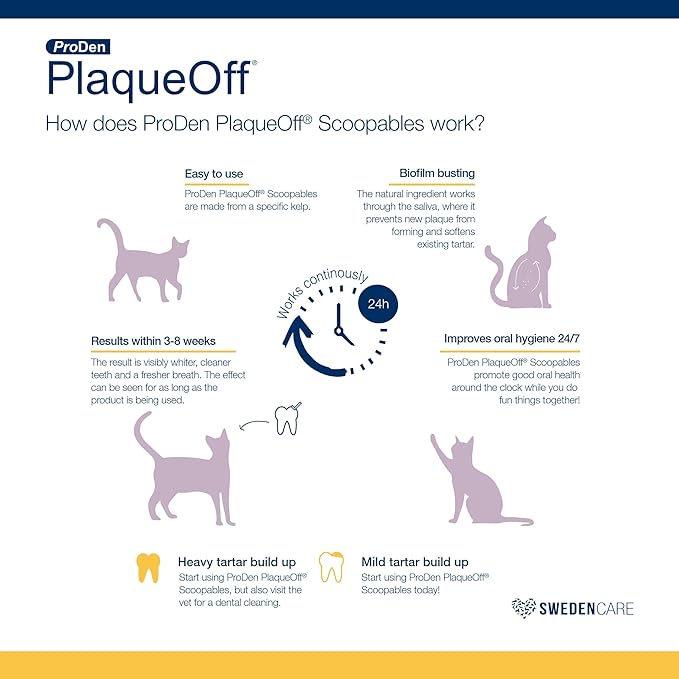 ProDen PlaqueOff Scoopables: Salmon-Flavored Dental Bites for Cats - Natural Kelp Formula for Plaque & Tartar Control, Freshens Breath- 45 Scoops