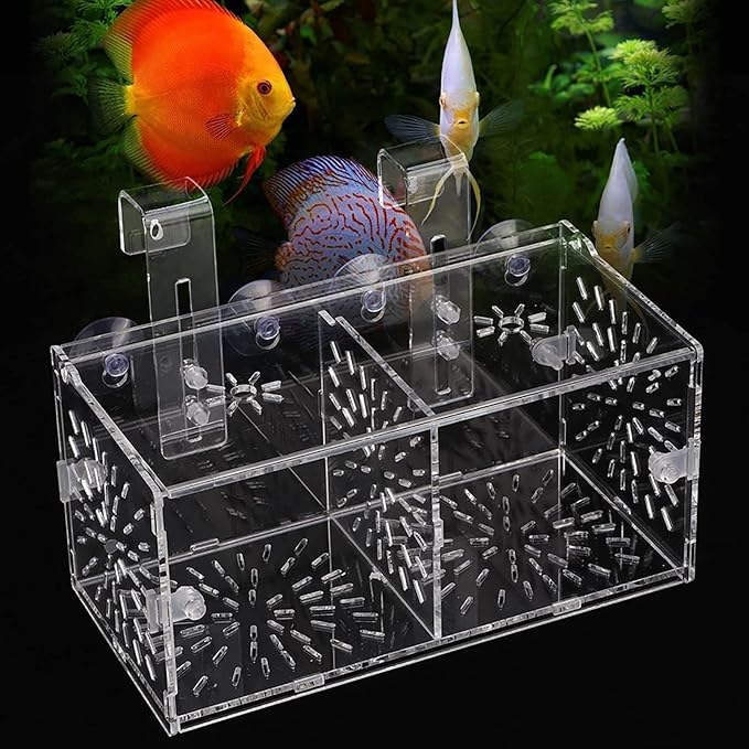 Fish Breeding Box, Acrylic Transparent Fish Breeding Isolation Box Aquarium Hatchery Incubator Holder Fish Separation Breeder Box, with Hook and Sucker Design (20CM*10CM*10CM)