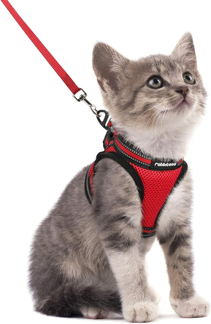 rabbitgoo Cat Harness and Leash Set for Walking Escape Proof, Adjustable Soft Kittens Vest with Reflective Strip for Cats, Comfortable Outdoor Vest, Red, S