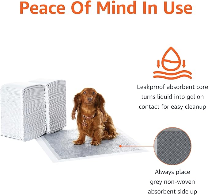 Amazon Basics Carbon Odour-Control Dog and Puppy Training Pads, Leakproof with Quick-Dry Surface, Regular, Pack of 120, Gray