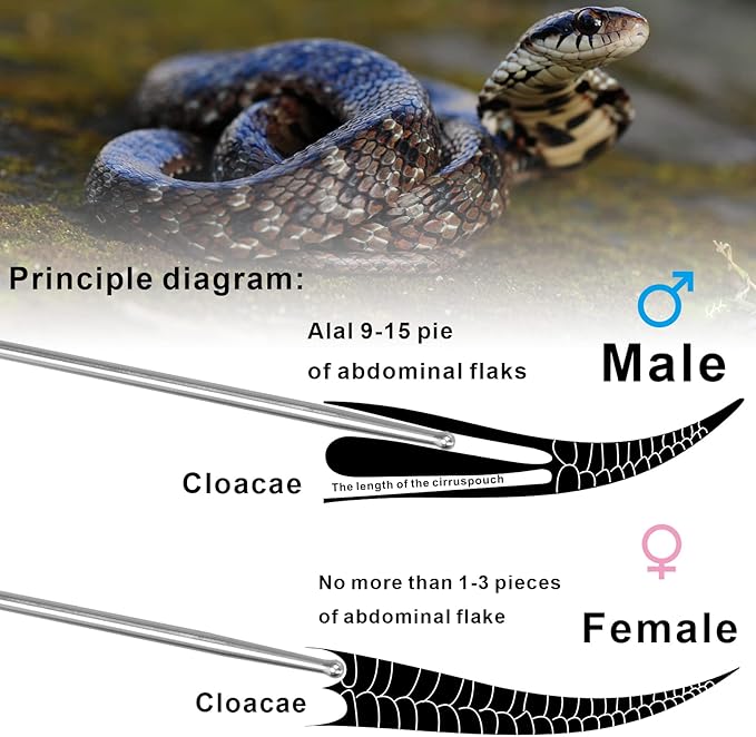 Aiicioo Snake Probe Kit 6 Pieces Ball Python Reptiles Sexing Boy or Girl Snake Stick Tool Kit Set
