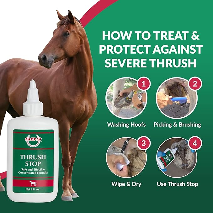 SBS Equine Thrush Treatment for Horses for The Finest Horse Care | The Horse-Journal’s Product of The Year and #1 Pick Against Hoof Thrush (4 Fluid Oz)