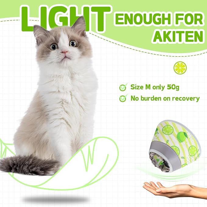 Cat Cone Collar Soft, Comfortable Cat Recovery Collar Pet Cone for Small Large Cats, Lightweight Elizabethan Collar for Cats Kittens After Surgery Prevent from Licking Wounds, Light Green, M