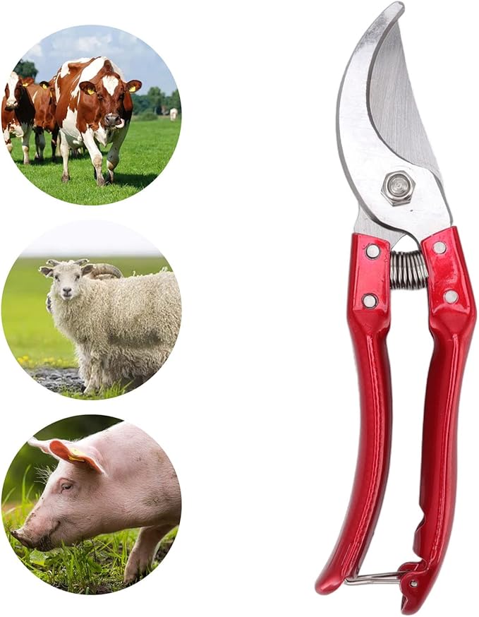 Sheep Hoof Shears Goat Hoof Trimmers Pig Trotter Shears Pliers Animal Toe Nails Trimming Repairing Tool (Red)