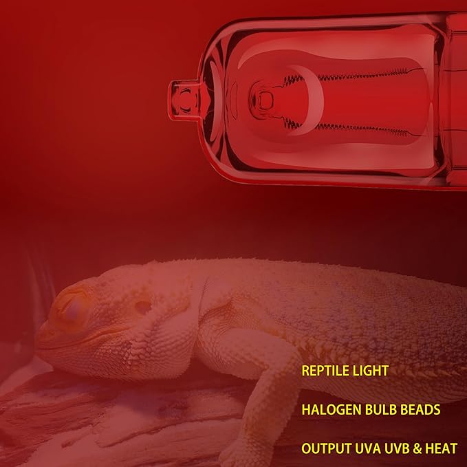 6 Pack G9 Infrared Heat Lamp Bulbs for Reptile, Dimmable Night Red UVA Reptile Heat Lamp, 2 Pin Base Mini Reptile Light Bulb Replacement (50 Watt)