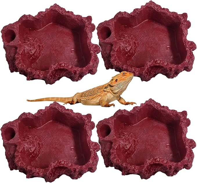 Hamiledyi 4 Pack Reptile Food and Water Dishes Resin Bearded Dragon Food Bowls Leopard Gecko Feeding Dish Chameleon Feeder for Tortoise Snake Hermit Crab Chameleon Frog