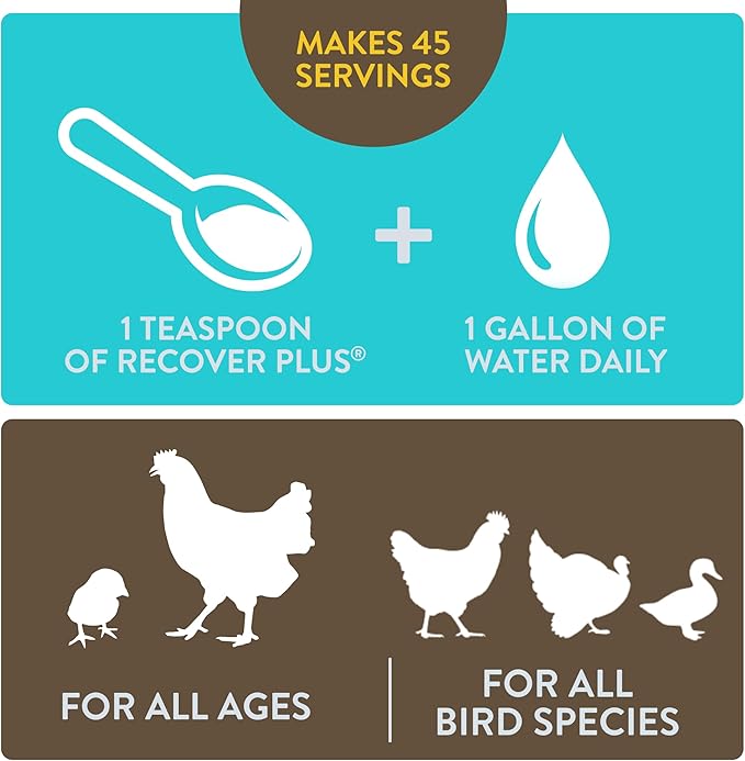 Recover Plus Moderate Stress Probiotic Water Supplement for Chickens with Electrolytes & Oregano, 8 oz