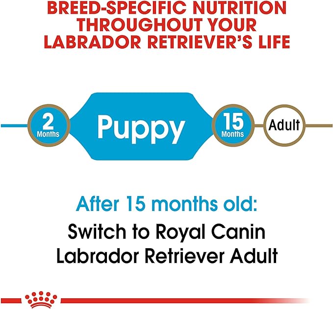 Royal Canin Labrador Retriever Puppy Breed Specific Dry Dog Food, 30 lb bag