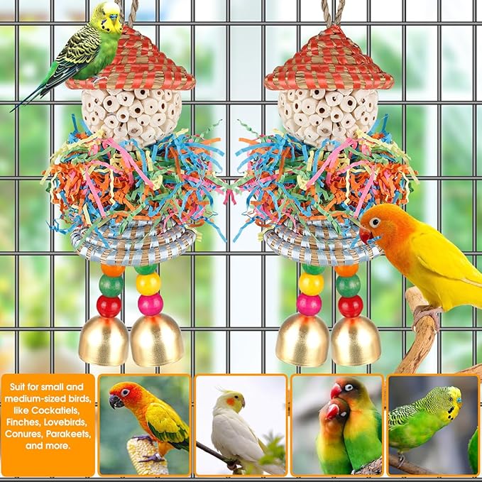 Conure Toys, Bird Toys Parrot Foraging Shredder Hanging Toys Sola Balls with Bell for Small Parrots Parakeets Cockatiel Conures Love Birds Budgie Cage Toy (Hat Girl Big)