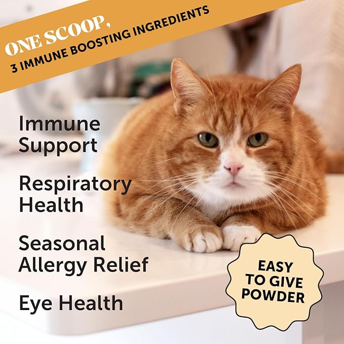 Pet Honesty Immune Health Lysine - Cat Allergy Relief Supplement Powder for Cats - Immune Health - Sneezing, Runny Nose, Watery Eyes - Cats & Kittens of All Ages - Omega 3s, L-Lysine - Chicken & Fish