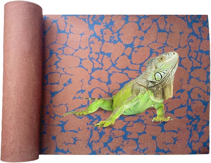 BNOSDM Reptile Carpet Pet Desert Mat Terrarium Liner Bedding Mats Reversible Substrate for Lizard Gecko Tortoise Snake Chameleon Bearded Dragon 39.3x19.6IN