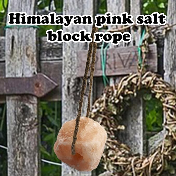 Himalayan Salt Lick Natural Minerals Block on Rope for Horses,Cattles,Deer,Goat and Other Livestock Long Lasting Original Pink Salt Lick (2.4-3.3 lbs)