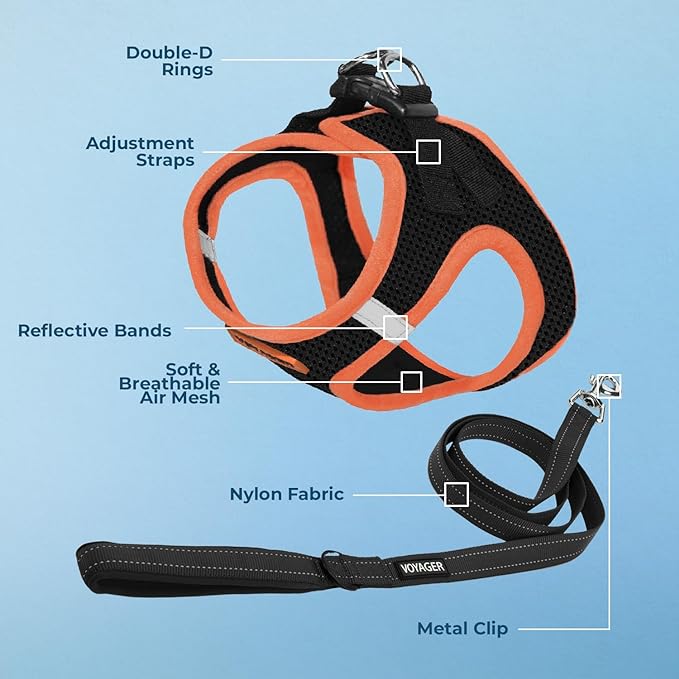 Voyager Step-in Air All Weather Mesh Harness and Reflective Dog 5 ft Leash Combo with Neoprene Handle, for Small, Medium and Large Breed Puppies by Best Pet Supplies - Black/Orange Trim, Medium