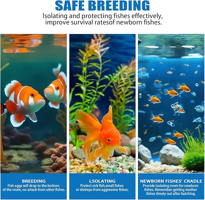 Fish Breeding Box, Acrylic Fish Isolation Box,Fish Separator for Aquarium, Aquarium Incubator with Suction Cups for Newborn Fry Shrimp Guppy Clownfish Aggressive Fish(11.5" x 6" x 6")