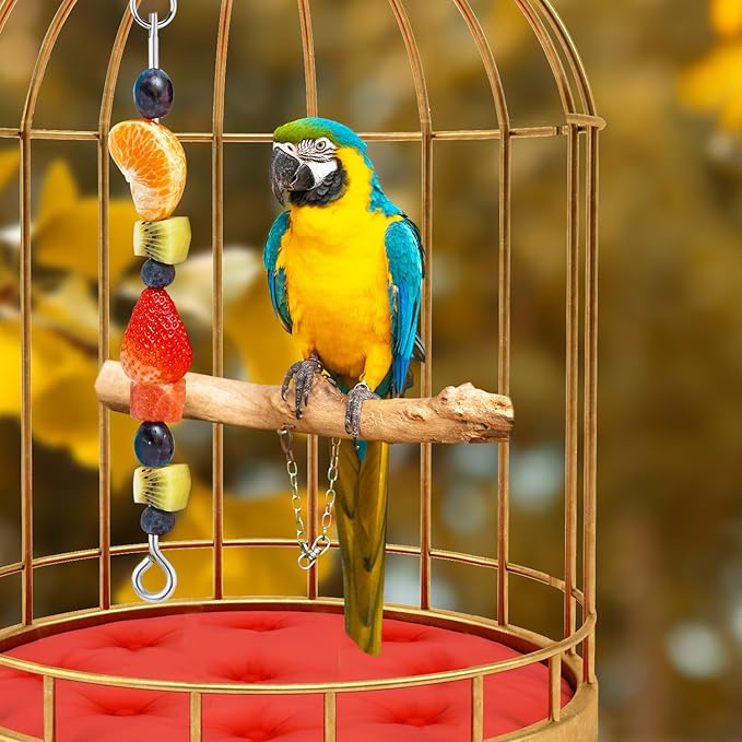 3pcs Parrot Fruit Skewer, Stainless Steel Bird Vegetable Skewer with Hook Bird Food Holder Cage Food Stick Feeder Skewer Parrot Foraging Toy for Budgies, Parakeets, Macaws