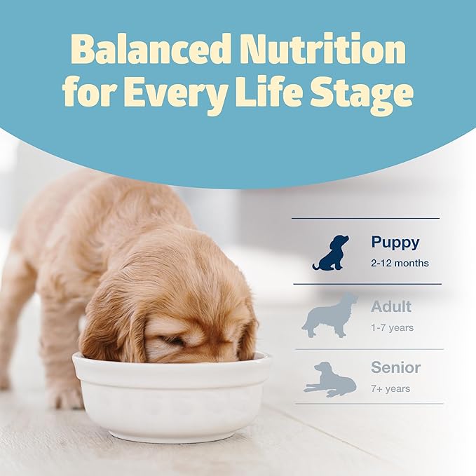 Blue Buffalo Freedom Grain-Free Puppy Dry Dog Food with DHA, Complete & Balanced Nutrition for Puppies, Made in the USA, Chicken & Potatoes, 11-lb. Bag