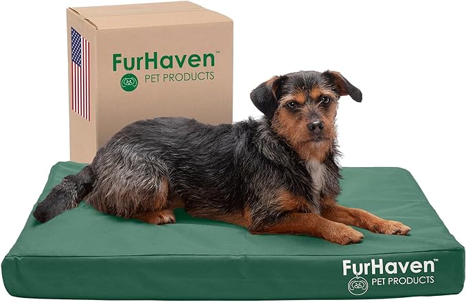 Furhaven Water-Resistant Cooling Gel Dog Bed for Medium/Small Dogs w/ Removable Washable Cover, For Dogs Up to 35 lbs - Indoor/Outdoor Logo Print Oxford Polycanvas Mattress - Forest, Medium