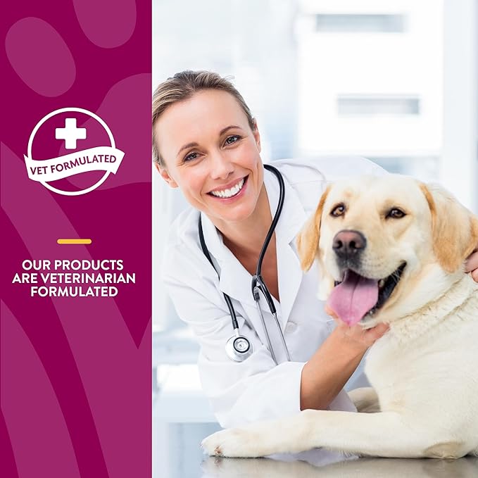 NaturVet ArthriSoothe Hip & Joint Formula Pet Supplement for Dogs & Cats – Includes Glucosamine, MSM, Chondroitin, Boswellia, Green Lipped Mussel – Supports HIPS, Joints – 500 Ct.