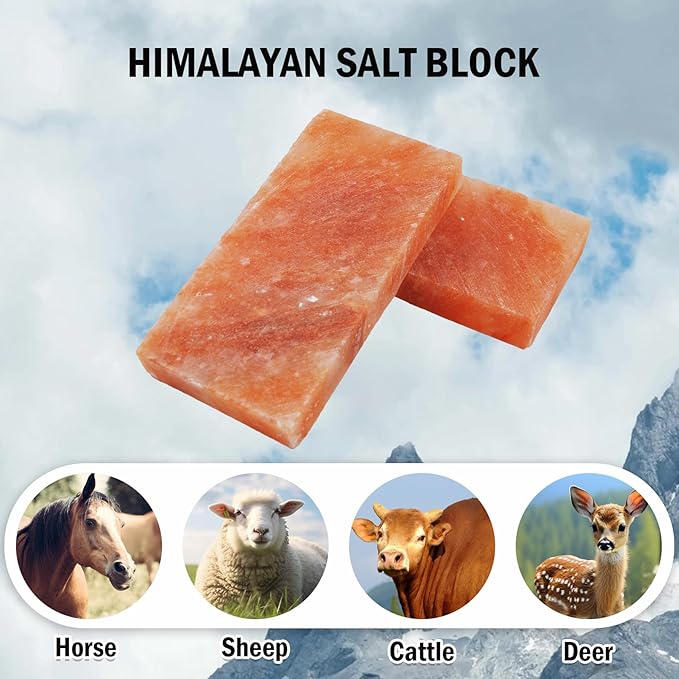 kathson Himalayan Salt Blocks for Horses Animal Salt Lick Brick Natural Mineral Pink Salt Licks for Horse Deer Cattle Sheep and Other Livestock (1 Pcs | 8 x 4 x1 Inches)