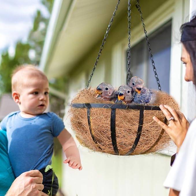 Sukh 2PCS Coconut Fiber for Bird Nest - Canary Nesting Material Coconut Bird Nest Finch Coconut Fiber Loose Bedding Substrate for Laying Eggs,Resting Materials for Birds, Hummingbird Parakeet