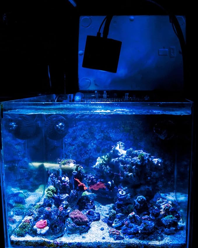 Lominie Aquarium LED Light, Reef Coral Light Full Spectrum Saltwater Aquarium Light with Remote Control Gooseneck for 10 Gallon Fish Tank