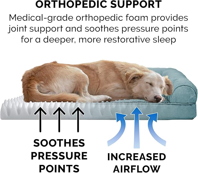 Furhaven Orthopedic Dog Bed for Medium/Small Dogs w/ Removable Bolsters & Washable Cover, For Dogs Up to 35 lbs - Plush & Suede Sofa - Deep Pool, Medium