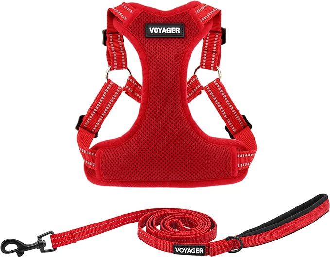 Best Pet Supplies Voyager Adjustable Dog Harness Leash Set with Reflective Stripes for Walking Heavy-Duty Full Body No Pull Vest with Leash D-Ring, Breathable All-Weather - Harness (Red), L