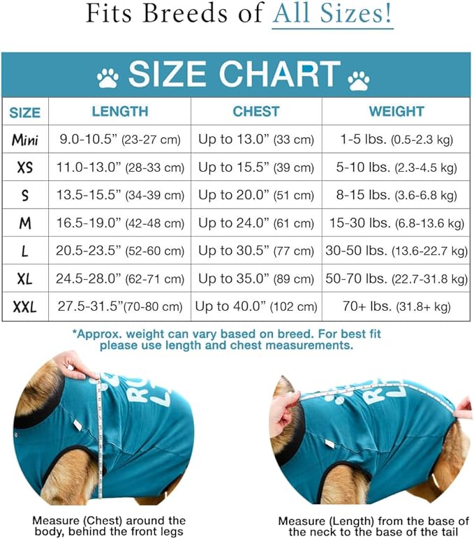 BellyGuard Recovery Suit for Dogs, After Surgery Dog Recovery Suit Female and Male, Soft Cotton Dog Surgery Suit Female Spay, Dog Surgical Recovery Suit Male Neuter, Comfy Surgical Onesie for Dogs.